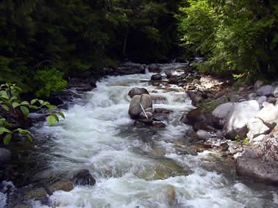 Log Creek