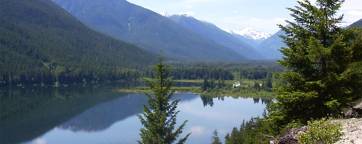 Rivers Edge Cabins Nahatlatch River Boston Bar Bc